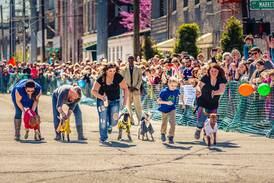 NuLu Bock Fest returns for its 7th year 