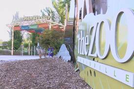 Louisville Zoo broadens appeal with events for adult guests