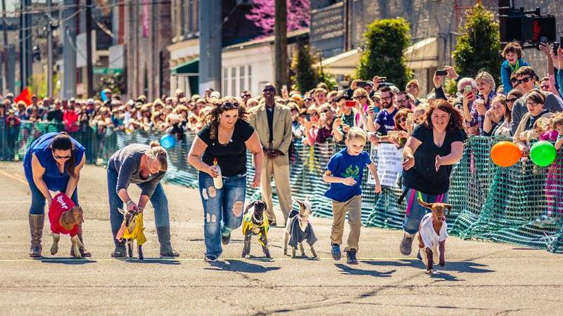 NULU Bock Fest & Wurst Fest returns for 2023 celebration