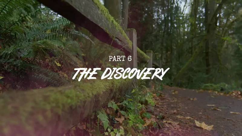 Behind the Bear: The Discovery